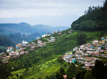 ooty